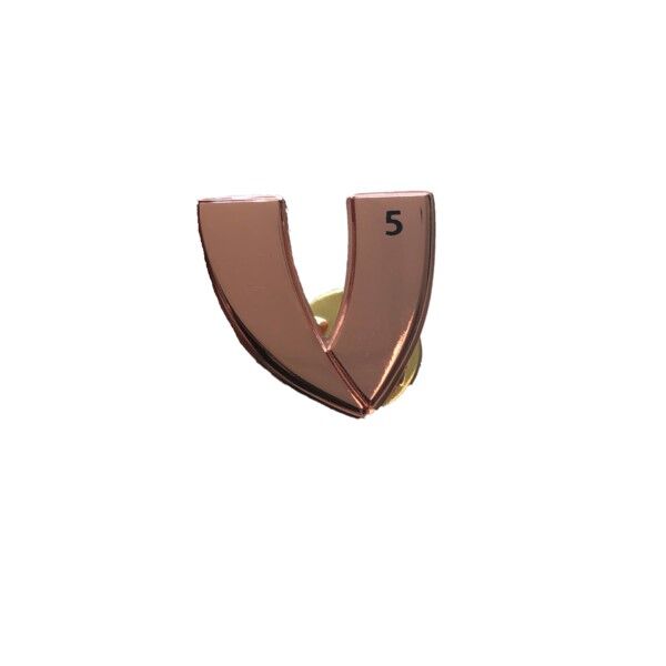 5 Year Anniversary Pin