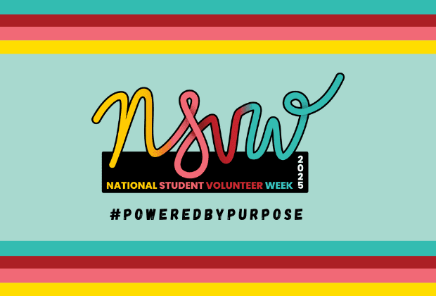 Celebrating Youth-Led Organisations – NSVW2025